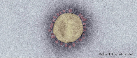  Zur Informationsseite des Robert-Koch-Institutes zum Corona-Virus 